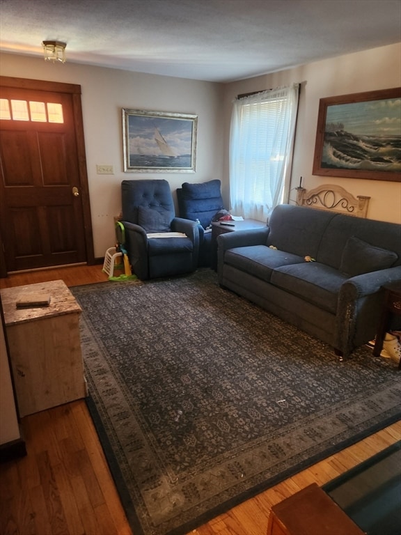 living room featuring hardwood / wood-style flooring and a healthy amount of sunlight