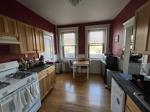 kitchen featuring light brown cabinetry, white appliances, and hardwood / wood-style flooring