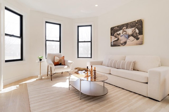 living area featuring wood finished floors