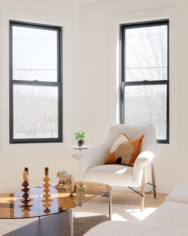 sitting room with plenty of natural light