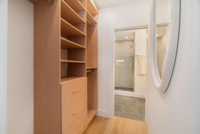 spacious closet featuring light wood finished floors