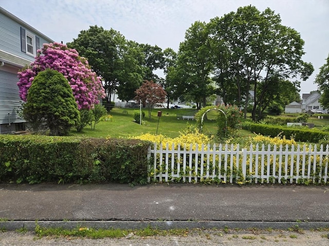 43 Jefferson St, Taunton, MA 02780 - view of yard