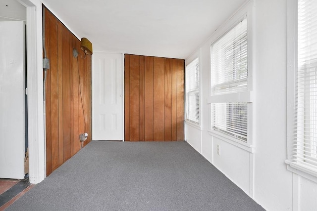 7 Crescent Pl, Wareham, MA 02558 - empty room with carpet floors and wood walls