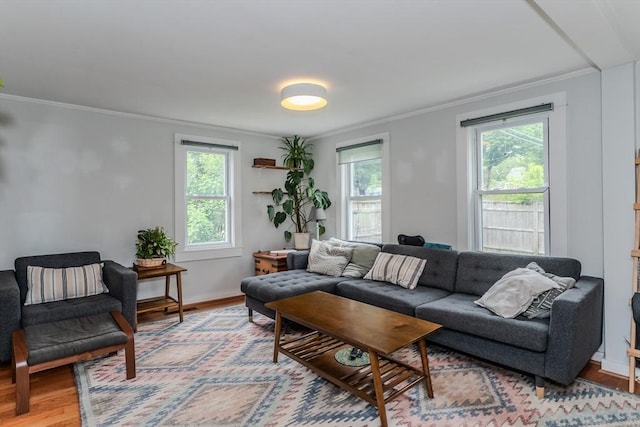 15 Ryan Rd, Northampton, MA 01062 - living area featuring plenty of natural light, wood finished floors, ornamental molding, and baseboards