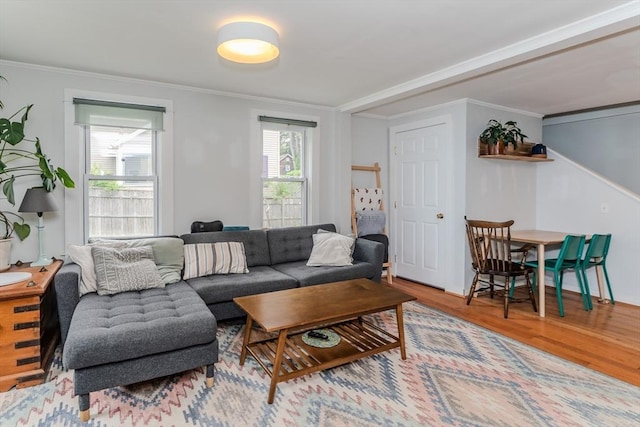 15 Ryan Rd, Northampton, MA 01062 - living area featuring wood finished floors, healthy amount of natural light, and crown molding