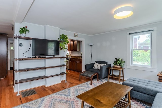 15 Ryan Rd, Northampton, MA 01062 - living room with light wood finished floors and ornamental molding