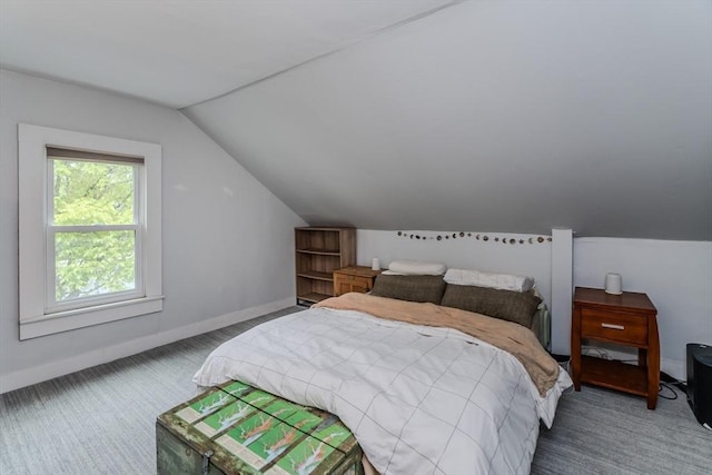 15 Ryan Rd, Northampton, MA 01062 - bedroom with carpet flooring, lofted ceiling, and baseboards