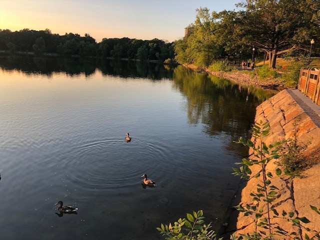 water view