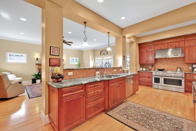 kitchen with light wood-style floors, tasteful backsplash, under cabinet range hood, appliances with stainless steel finishes, and a sink