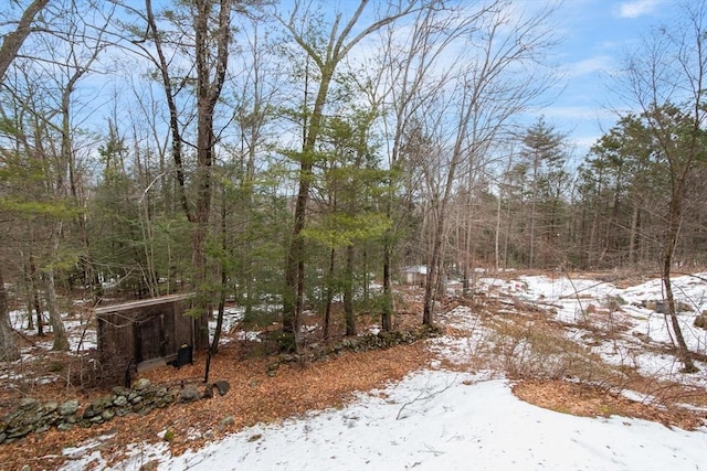 view of yard covered in snow