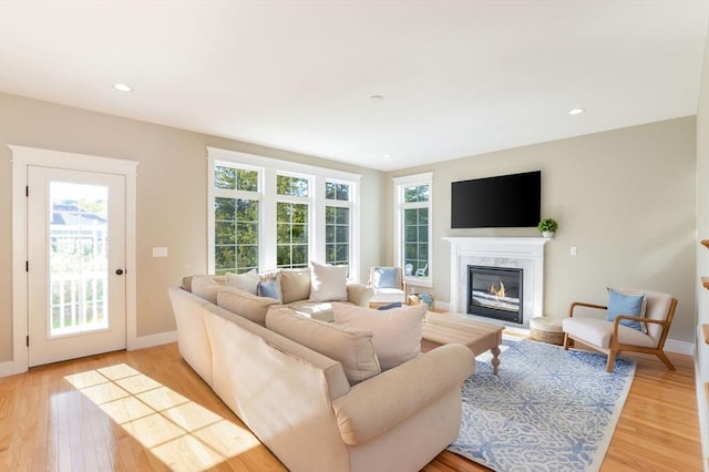 living room featuring light hardwood / wood-style floors