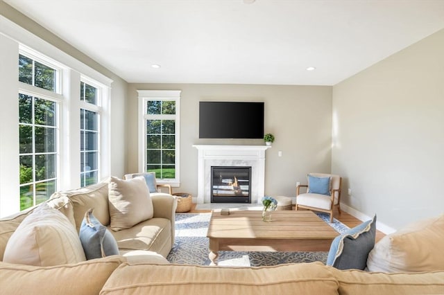 living room featuring wood-type flooring and a fireplace