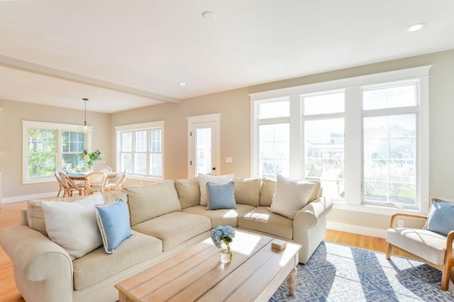 living room with hardwood / wood-style flooring