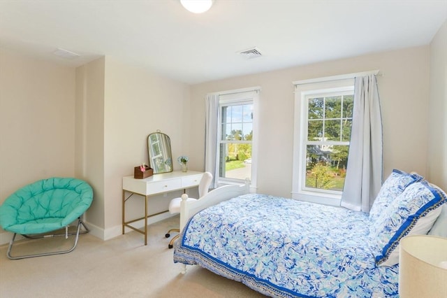 bedroom with carpet floors