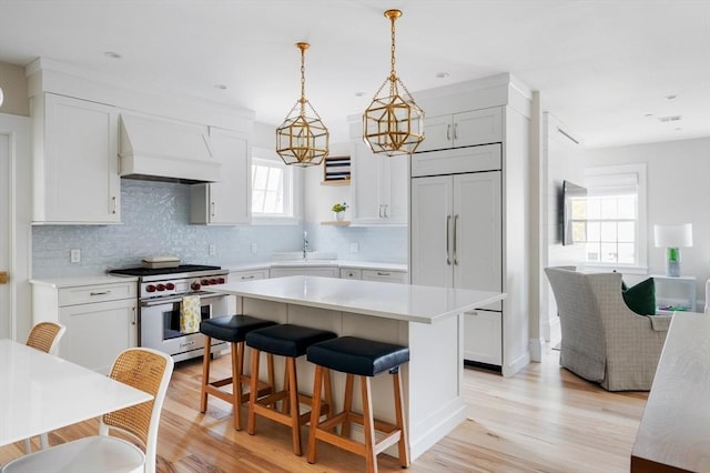 kitchen featuring decorative backsplash, premium range hood, high quality appliances, a sink, and light wood-style flooring