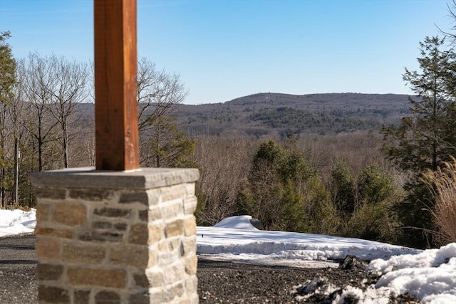 mountain view with a forest view