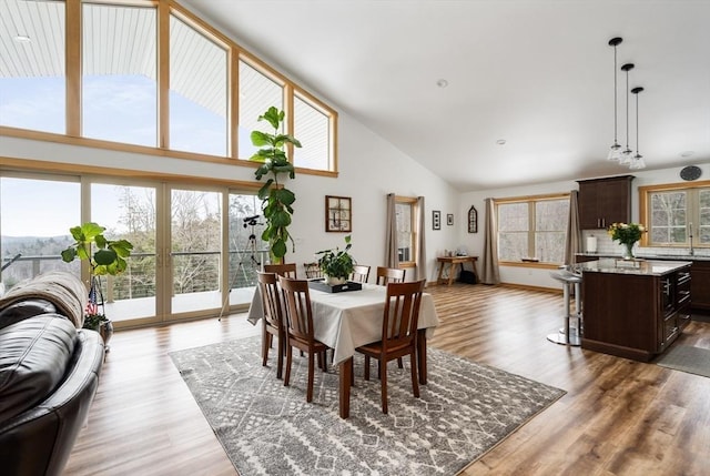 dining room with high vaulted ceiling and wood finished floors