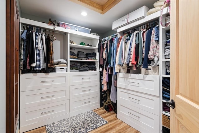 spacious closet with light wood finished floors