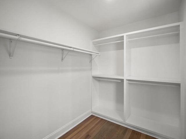 spacious closet with dark wood finished floors