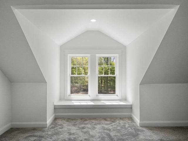 additional living space with baseboards, carpet, and lofted ceiling