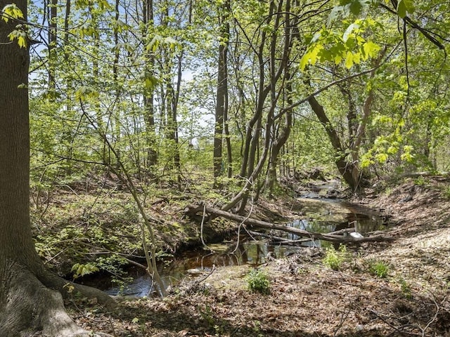 view of nature