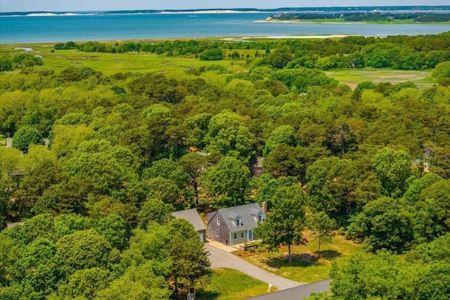 26 Sandy Meadow Way, Eastham, MA 02642 - drone / aerial view of a large body of water and a forest