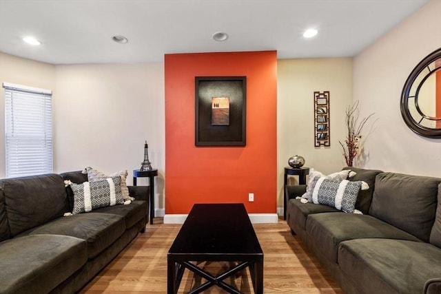 living room featuring light hardwood / wood-style floors