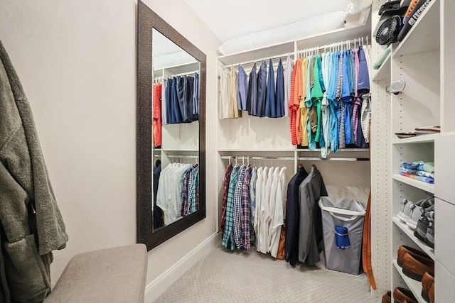spacious closet with carpet floors