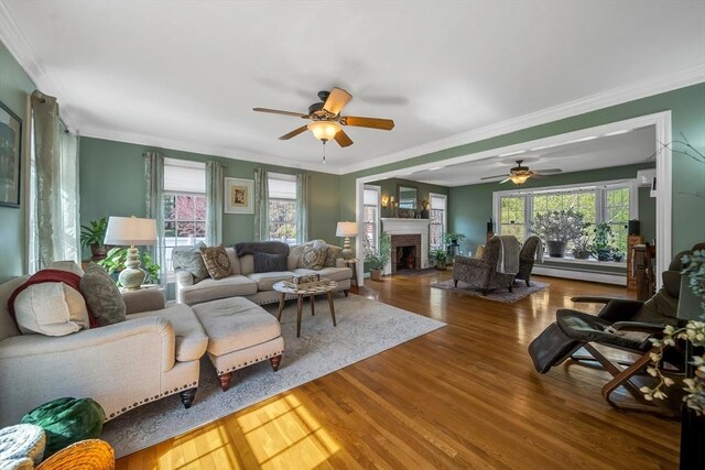28 Sewall St, Shrewsbury, MA 01545 - living area featuring a baseboard radiator, a ceiling fan, healthy amount of natural light, wood finished floors, and crown molding