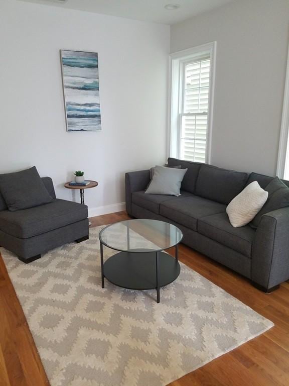 living room with hardwood / wood-style floors