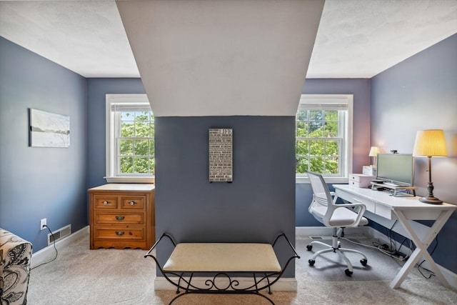 35 Michael Way Unit 29, Andover, MA 01810 - office area featuring carpet flooring and baseboards