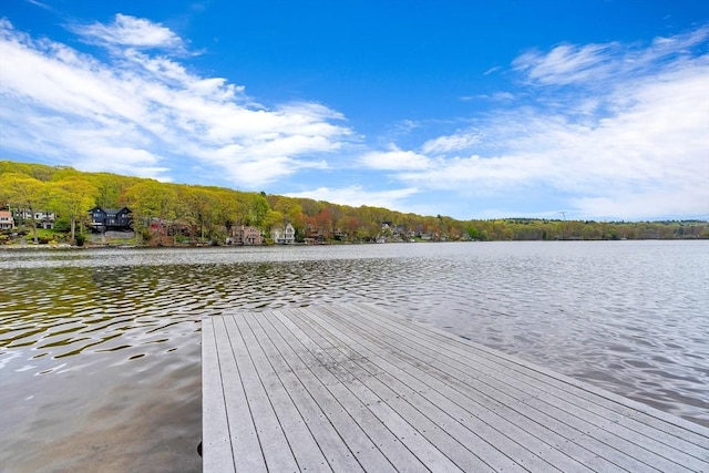 dock with a water view