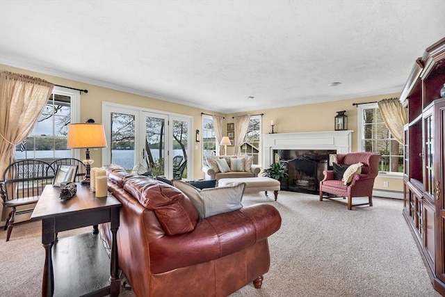 living area featuring carpet, a baseboard radiator, ornamental molding, and a fireplace