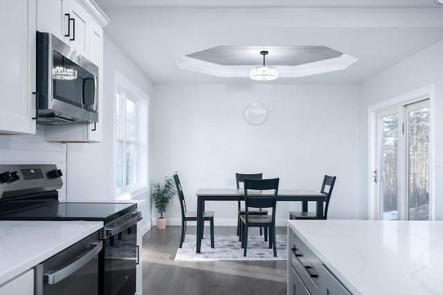 kitchen with appliances with stainless steel finishes, a raised ceiling, plenty of natural light, and dark wood-style flooring