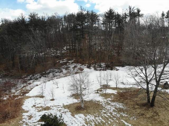 snowy view featuring a view of trees