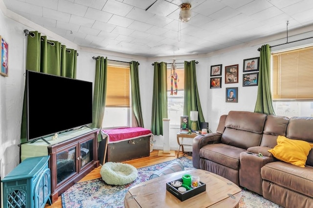 living room with hardwood / wood-style floors