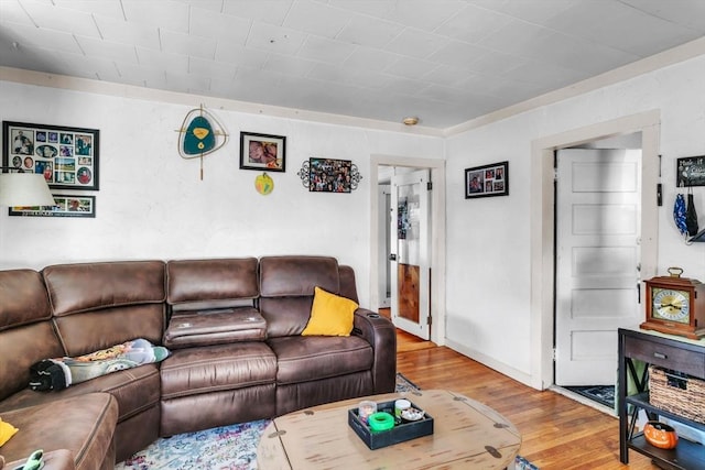 living room with light wood-type flooring