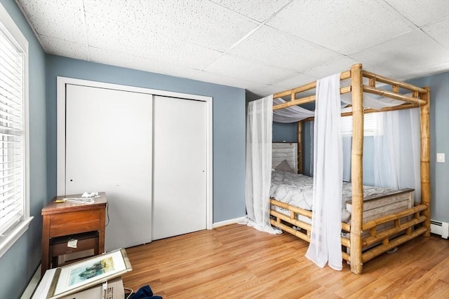 bedroom featuring a closet, a paneled ceiling, and wood-type flooring