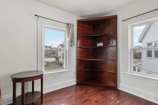 interior space with lofted ceiling, dark hardwood / wood-style floors, and plenty of natural light