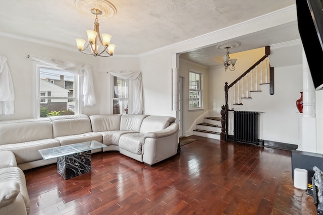 living room featuring ornamental molding, radiator, dark hardwood / wood-style floors, and a chandelier