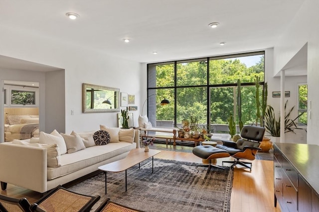 166 Quinapoxet Ln, Worcester, MA 01606 - living area featuring wood finished floors, healthy amount of natural light, expansive windows, and recessed lighting