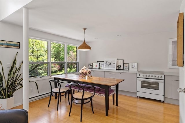 166 Quinapoxet Ln, Worcester, MA 01606 - dining area featuring a baseboard heating unit and light wood-type flooring