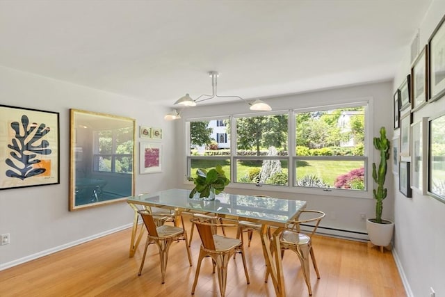 166 Quinapoxet Ln, Worcester, MA 01606 - dining space featuring a baseboard radiator, light wood finished floors, plenty of natural light, and baseboards