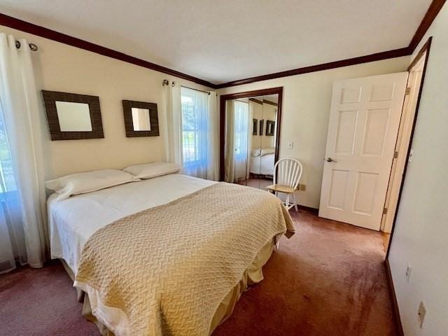 bedroom featuring carpet flooring, crown molding, and a closet