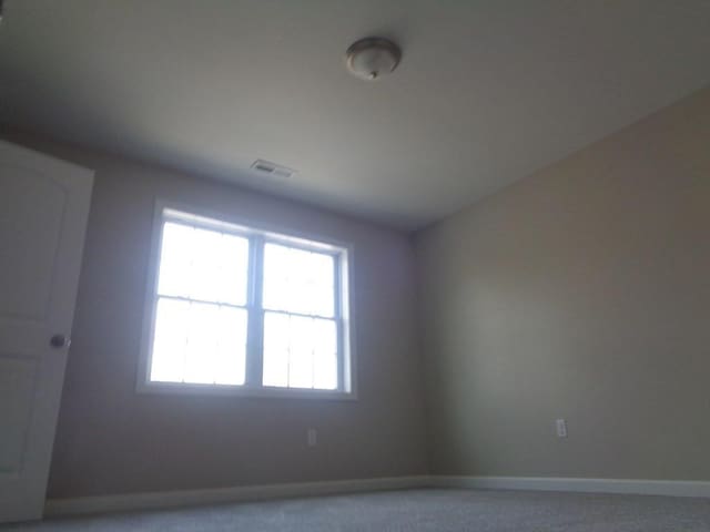 unfurnished room featuring carpet