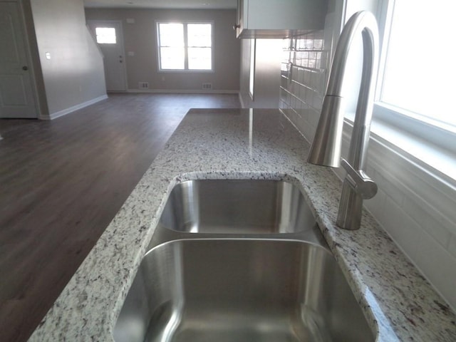 details with light stone counters, dark hardwood / wood-style floors, and sink