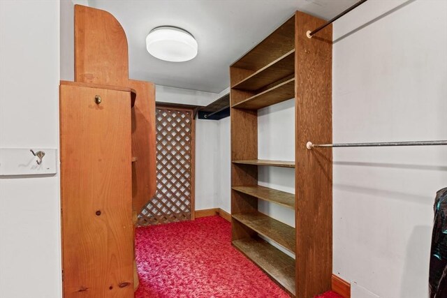 676 Salem St, Groveland, MA 01834 - walk in closet with carpet