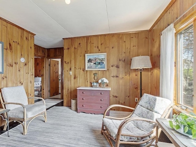 living area with wooden walls