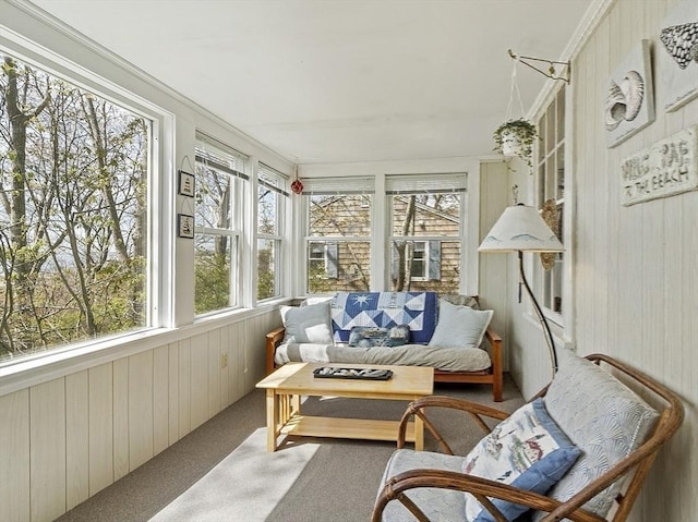 sunroom with carpet flooring and wood walls