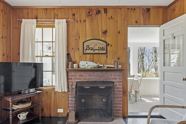 living room featuring a fireplace and wood walls